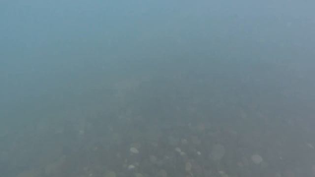 В море с головой