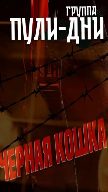Группа Пули Дни - Черная кошка