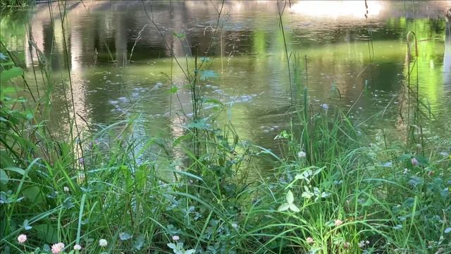 Про нашего осетра.Как живет.Как растет.Ну и про самодельный фильтр