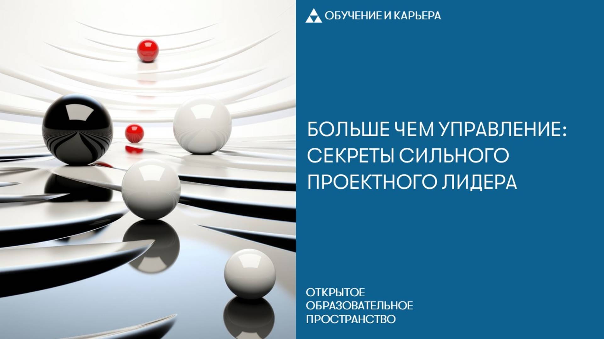 Больше чем управление: секреты сильного проектного лидера