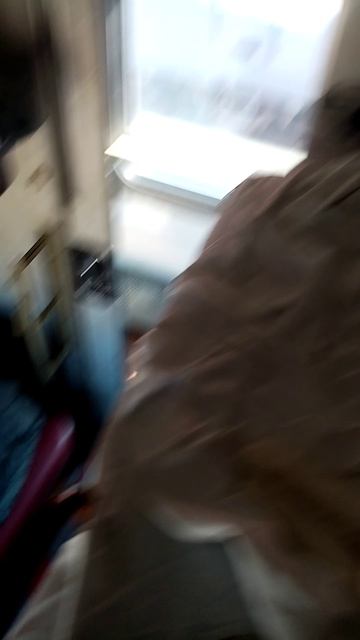 Возвращение прошлым летом в Санкт-Петербург