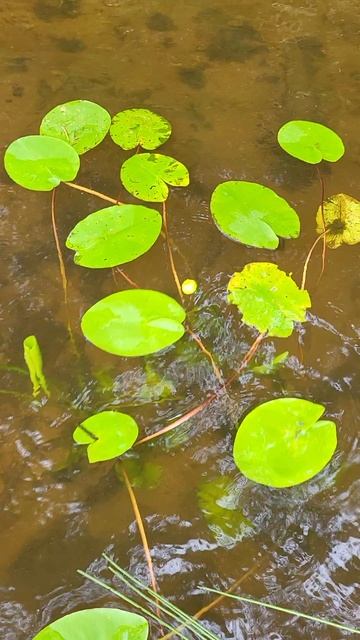 Как же это классно !