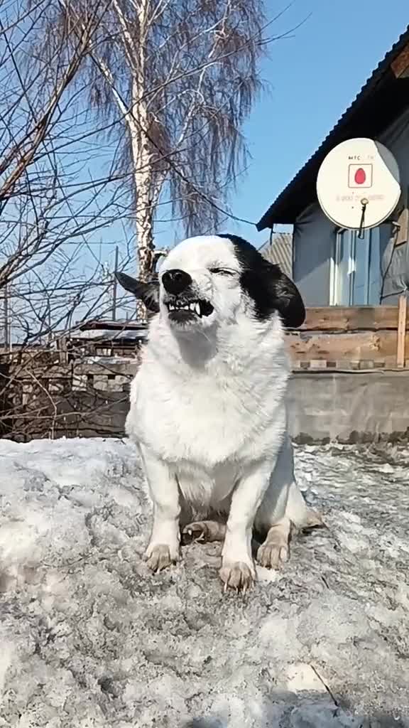 Подпишись 👉 https://vk.com/ykrasheniy_iz_kamny