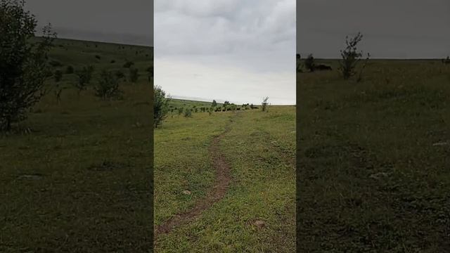 Июль месяц