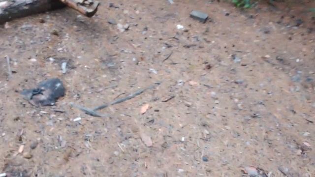 жарим шашлык