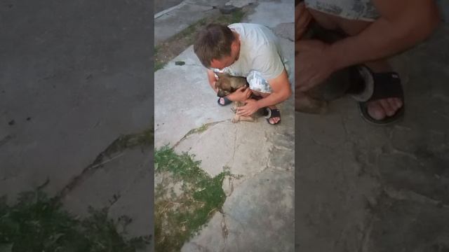 #сезонконтетаRUTUBE
ЛОВИМ БАБОЧЕК. ИЗУЧАЕМ ПРИРОДУ.