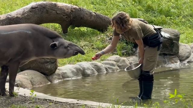 Умный в воду не пойдет)