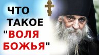☦️ ЧТО ТАКОЕ ВОЛЯ БОЖЬЯ