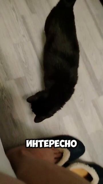 Сёма и Марсель 5 серия