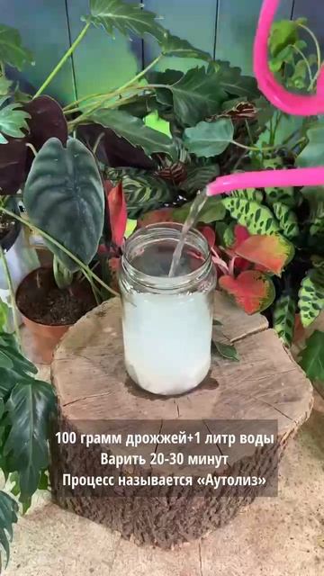 🌱 Аминокислоты для растений