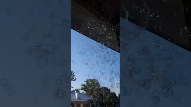 1000011253.mp4