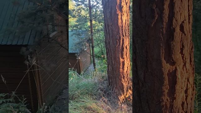 Вот такой закат, на святом источнике Архангела Михаила 🙏