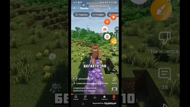 рубрика tiktok