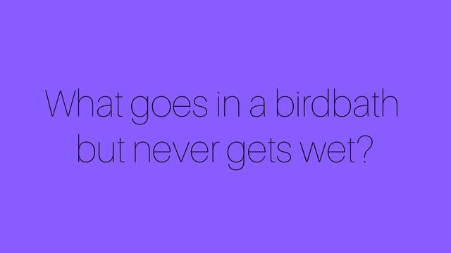 Загадка 13 Riddle 13