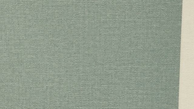 Обзор обоев Rasch Novella 983555