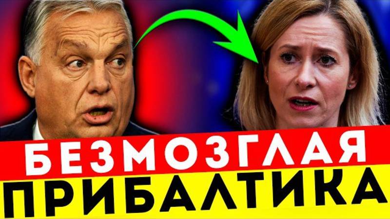 ОПУСТИЛИ В ЭФИРЕ! ОРБАН ПОСЛАЛ КАЛЛАС ВМЕСТЕ СО ВСЕЙ ПРИБАЛТИКОЙ!