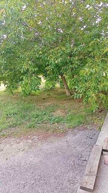 Атака беспилотника на Таганрог. Воздушная тревога.