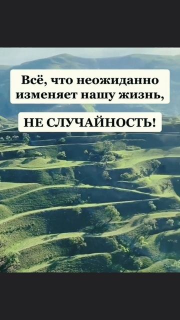 Переходи в канал, и начни свой путь к лучшему себе.
👆👆👆
——————
#бизнес #финансы #деньги
#маркетинг