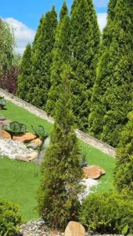 Настоящая гармония и единение с природой в Grand Wellness Hotel 🌿