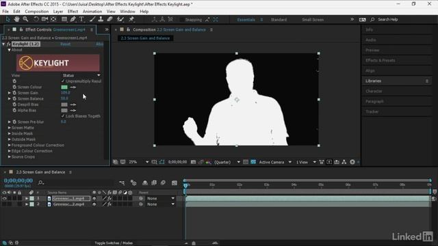 008 Screen Gain and Screen Balance