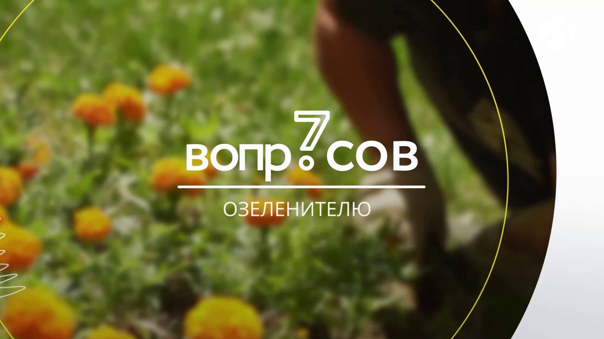 7 вопросов | озеленитель