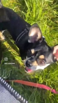 Тг - Этичный Маркетинг с Лучистой