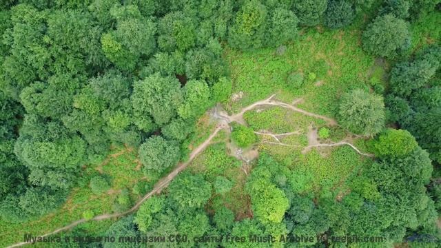 Это видео - как глоток чистого воздуха и энергии! - Eiffel Tour -- Les Sans Culottes -- Live at WFMU