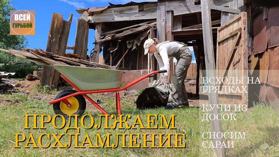 Уборка на нашем участке