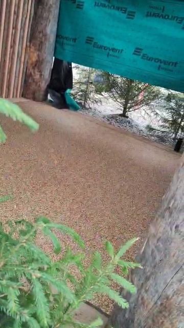 покрытие выставка 2