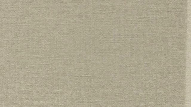 Обзор обоев Rasch Novella 983517