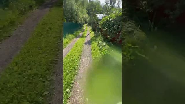 Стесняемся спросить, а Йосля переехал к Танюхе или на чаек заглянул? 😳