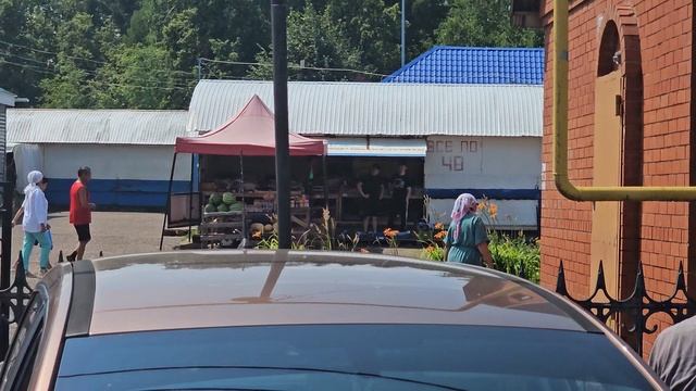 Актаниш Вита обзор