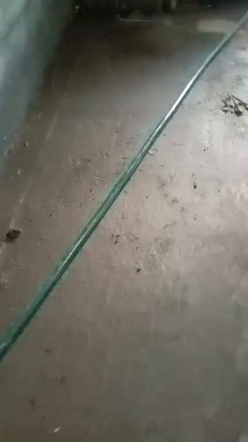 Эстонская, 37/9