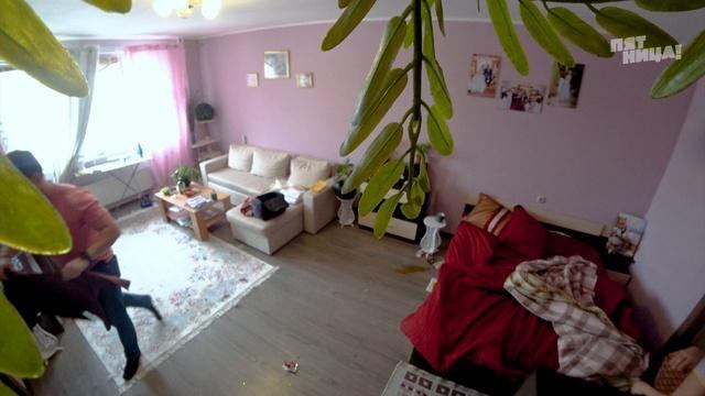 Черный список, 3 сезон, 8 выпуск