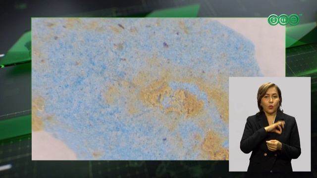 В пещере "Шульган-Таш" сделали сенсационное открытие