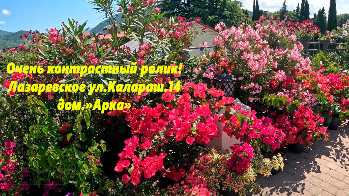 Очень контрастный ролик .Лазаревское, ул.Калараш,14. Дом "Арка"