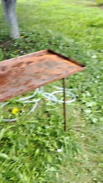 Сколько кг шашлыка можно съесть за отпуск?