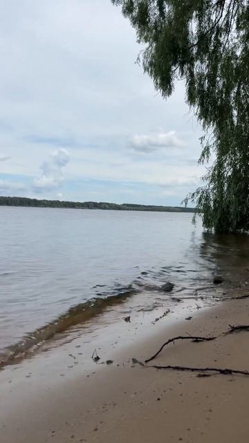 Шум воды и природы 🌊