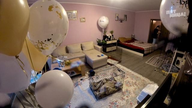Черный список, 3 сезон, 7 выпуск