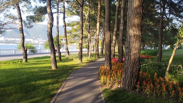 Геленджик прекрасные места для отдыха