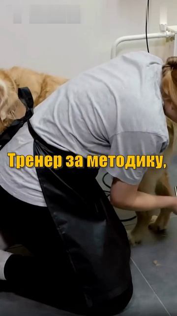 Кто должен обучать отдел продаж: РОП или тренер?