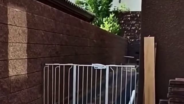 Мастер паркура😎😅