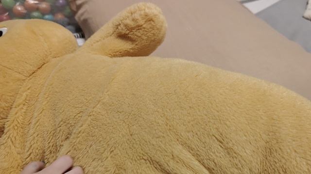 играем в плюшевого котенка