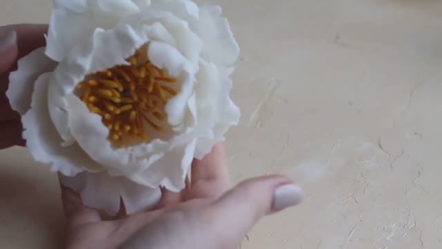 Пион. Лепка из полимерной глины