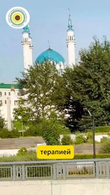 Наши курсы поддержки «Семей