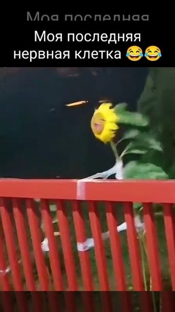 1000007758.mp4