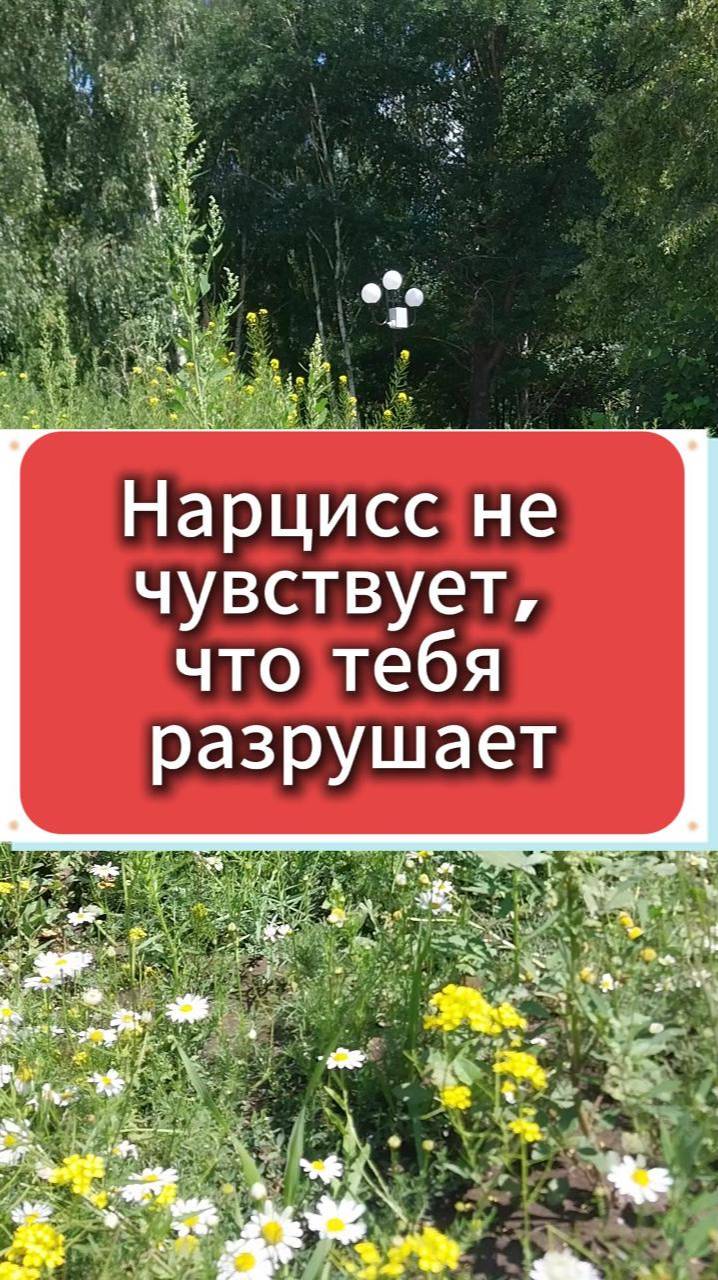 Нарцисс не чувствует, что разрушает тебя
