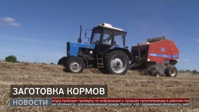 Заготовка сена: фермеры идут на рекорд. Новости. 11/07/25 GuberniaTV