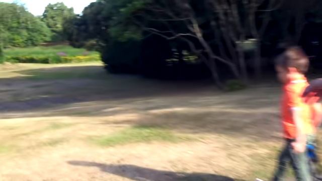 Мистер Макс ВЛОГ. То чего ты ранее НЕ ЗНАЛ ⧸ Лучший ДРУГ Макса ⧸ Подарок на окончание 1-го класса