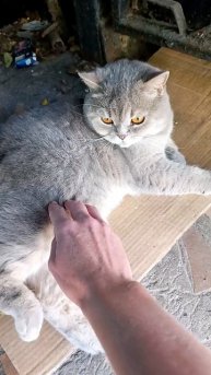 ЭТО ВИРУС СЧАСТЬЯ, И Я ДОБРОВОЛЬНО ЗАРАЖЕНА!